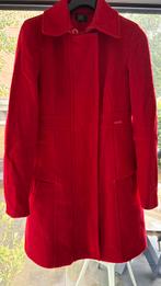 Dept dames jas (mantel) maat m, Kleding | Dames, Ophalen of Verzenden, Zo goed als nieuw