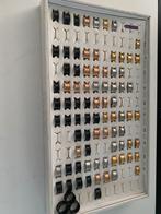 Diverse IXXXI basisringen VANAF € 5 per stuk ook limited, Verzenden, Nieuw