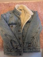 Nieuwe Teddy Spijkerjas, Ophalen of Verzenden, Nieuw