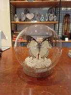 Prachtige vlinder in stolp hoogte 11 cm, Huis en Inrichting, B, Ophalen of Verzenden, Zo goed als nieuw, H