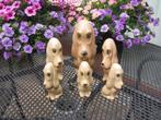 6 delig * SylvaC set * hond # dog # chien * droevige ogen *, Ophalen of Verzenden, Dier