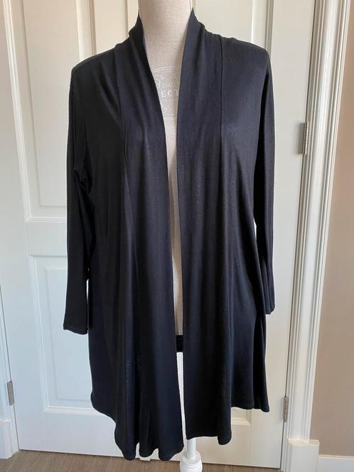 Dames vest zwart maat 38 / 40, Kleding | Dames, Truien en Vesten, Gedragen, Maat 38/40 (M), Zwart, Ophalen of Verzenden
