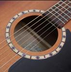 Godin Art & Lutherie gitaar inclusief koffer, Muziek en Instrumenten, Ophalen of Verzenden, Western- of Steelstringgitaar