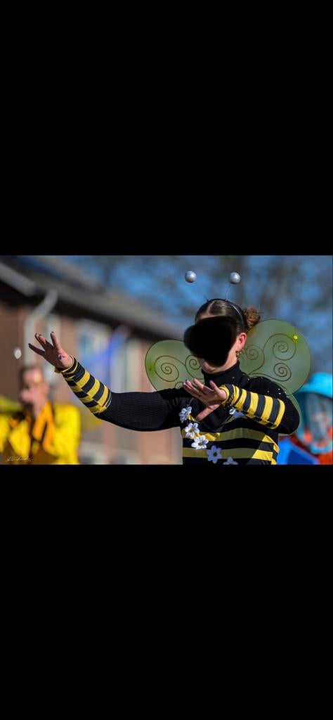 Bijen Accessoires - Carnaval!, Kleding | Dames, Carnavalskleding en Feestkleding, Maat 38/40 (M), Carnaval, Nieuw, Ophalen of Verzenden