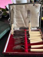 Oud engels vis couvert 6 delig €55 per doos, Ophalen of Verzenden, Gebruikt