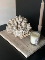 Natuursteen travertin travertijn travetijn plateau, Ophalen of Verzenden