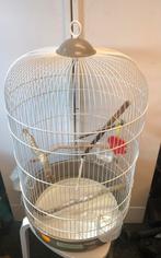 Imac Vogelkooi Luna Taupe / Wit, Dieren en Toebehoren, Ntv, Ophalen of Verzenden, Zo goed als nieuw, Vogelkooi