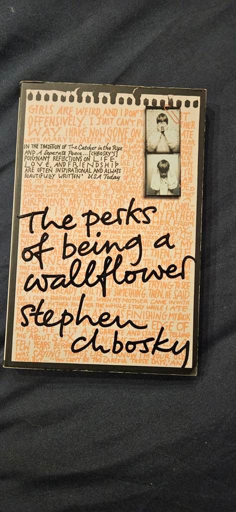 The Perks of Being a Wallflower - Stephen Chbosky, Boeken, Romans, Gelezen, Amerika, Ophalen of Verzenden