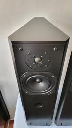 Dutch Design DRIADE - made in Holland, Audio, Tv en Foto, Luidsprekers, Zo goed als nieuw, 60 tot 120 watt, Front, Rear of Stereo speakers