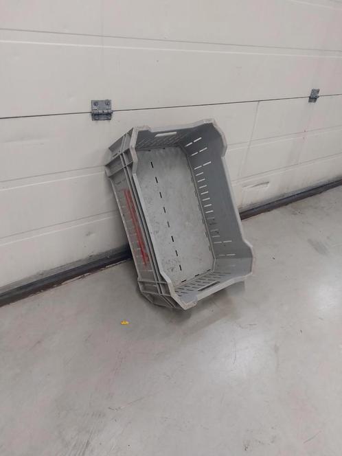 Plastic Veilingkisten / Kratten, Doe-het-zelf en Verbouw, Kratten en Dozen, Krat, 50 tot 75 cm, Minder dan 35 cm, 40 tot 60 cm