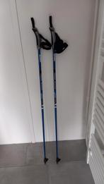 Nordic Walking wandelstokken, Ophalen of Verzenden, Zo goed als nieuw