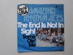 AMAZING RHYTHM ACES - the end is not in sight - vinyl 7" i, Cd's en Dvd's, Gebruikt, 7 inch, Single, Ophalen of Verzenden