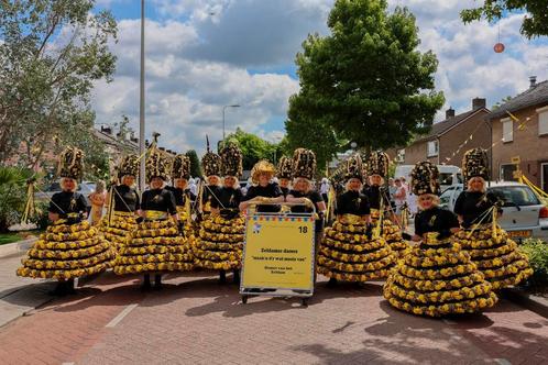 kleding voor 11 ( verlichte groep)  optocht., Kinderen en Baby's, Carnavalskleding en Verkleedspullen, Jongen of Meisje, Ophalen