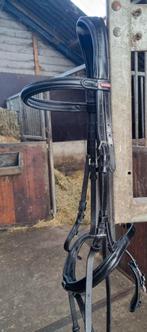 Hoofdstel cob, premiere, Dieren en Toebehoren, Paarden en Pony's | Hoofdstellen en Tuigage, Ophalen of Verzenden, Zo goed als nieuw