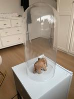 Glazen stolp voor decoratie, Ophalen of Verzenden, Zo goed als nieuw