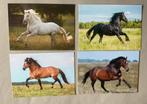 4 nieuwe ansichten met paarden De Stulp, Verzamelen, Ophalen of Verzenden, 1980 tot heden, Ongelopen, Paard