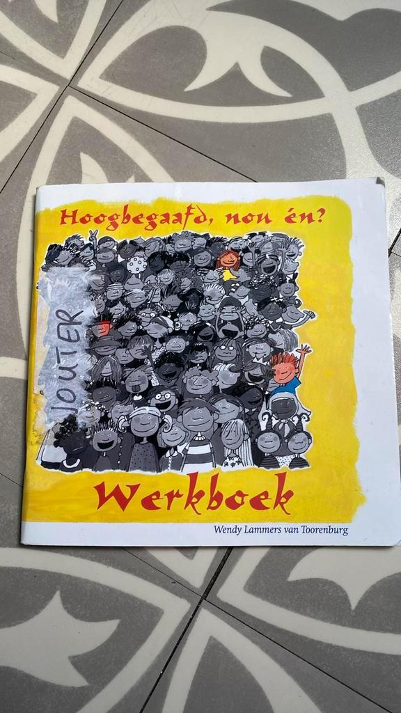 - Werkboek hoogbegaafd, nou en? W. 🤍🩶, Boeken, Wetenschap, Zo goed als nieuw, Ophalen of Verzenden