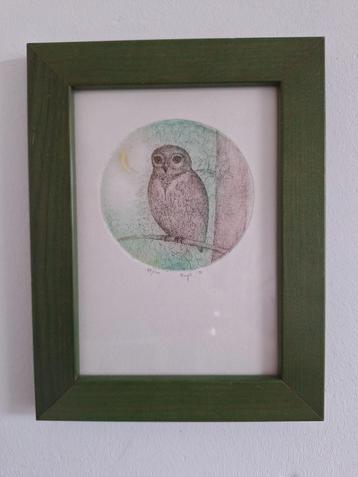 Kleine ets/grafiek van steenuil op een tak met maansikkel  beschikbaar voor biedingen