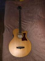 Tanglewood semi aucoustische basgitaar, Ophalen, Zo goed als nieuw, Semi-akoestisch