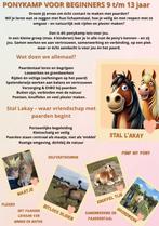 Ponykamp voor beginners 9t/m13 jaar, Dieren en Toebehoren, Ophalen, Nieuw, Overige soorten