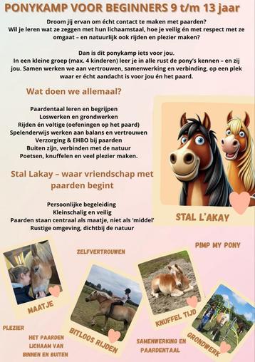 Ponykamp voor beginners 9t/m13 jaar beschikbaar voor biedingen