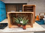 Houten Kistjes - Divers Gebruik, Ophalen of Verzenden, Gebruikt, Overige houtsoorten, Minder dan 50 cm