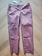 Gave broek Summum Woman maat 44 / XXL, Summum Woman, Verzenden, Paars, Maat 46/48 (XL) of groter