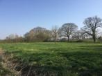 Landbouwgrond 10 meter van woonkern Hengelo (gld) 4590 m2, Zakelijke goederen, Agrarisch | Agrarisch Onroerend goed, Overige bestemmingen