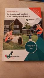 Professioneel werken voor pedagogisch werk, Diverse, Ophalen of Verzenden, Zo goed als nieuw, Nederlands