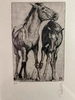 Ets Paarden gesigneerd FM, Ophalen of Verzenden