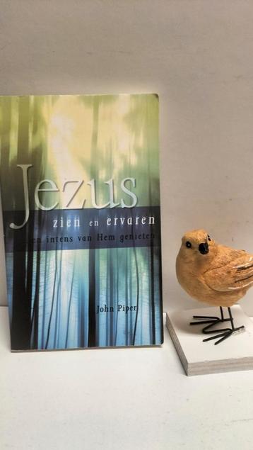Piper, John; Jezus zien en ervaren  beschikbaar voor biedingen