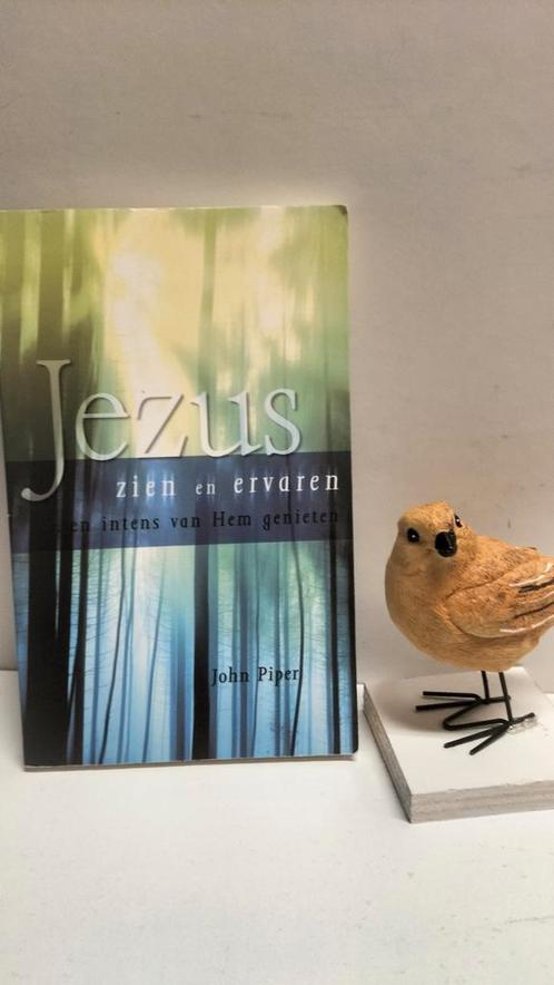 Piper, John; Jezus zien en ervaren, Boeken, Godsdienst en Theologie, Gelezen, Christendom | Protestants, Ophalen of Verzenden