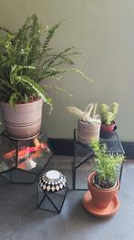 Vintage Glazen Vitrines - Set van 3, Huis en Inrichting, Woonaccessoires | Overige, Ophalen of Verzenden, Gebruikt