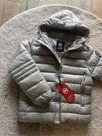 Canada Goose Jas - grijs- Maat M, Ophalen of Verzenden, Zo goed als nieuw, Maat 38/40 (M), Grijs