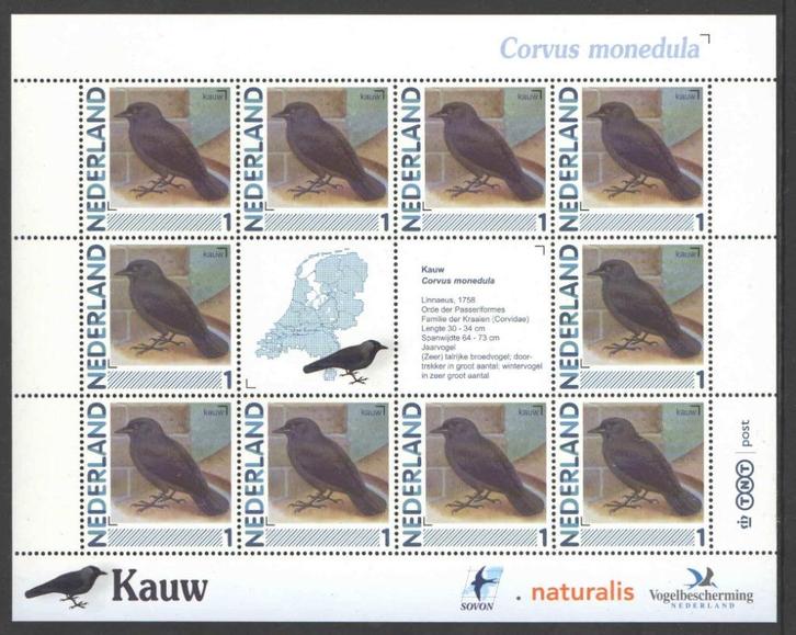 Postzegels Vogels in Nederland: Kauw, Postzegels en Munten, Postzegels | Nederland, Postfris, Na 1940, Ophalen of Verzenden