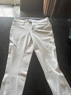 Samshield wedstrijdbroek maat 40, Dieren en Toebehoren, Paardrijkleding, Ophalen of Verzenden, Zo goed als nieuw, Dressuur, Onderkleding