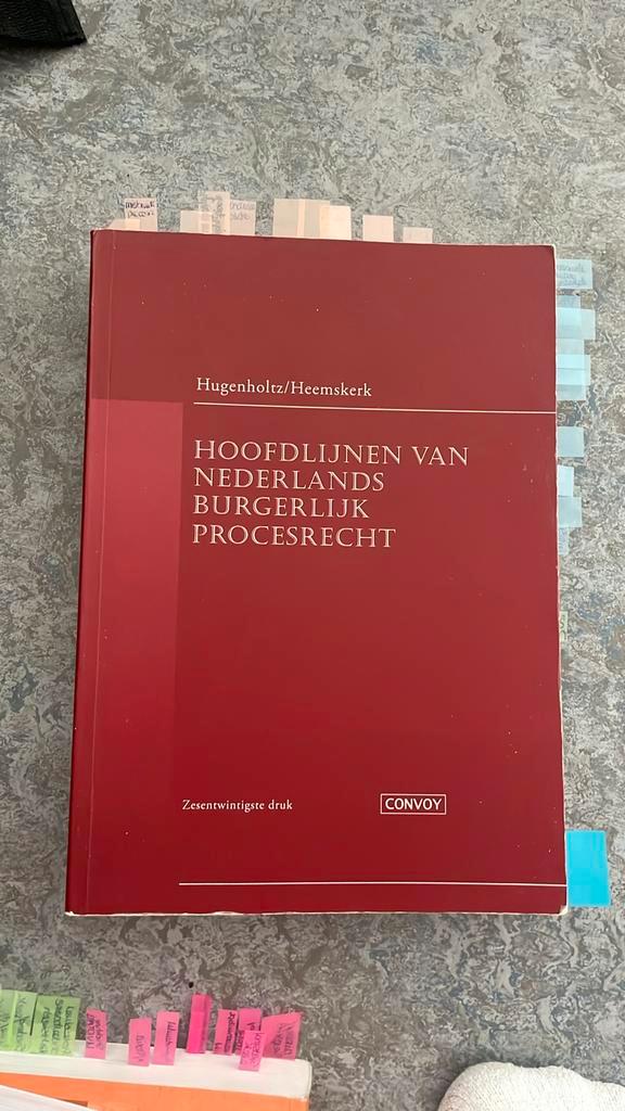 Hoofdlijnen van Nederlands Burgerlijk Procesrecht 9,8 gehaal, Boeken, Wetenschap, Ophalen of Verzenden