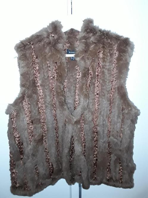 Dino'z Bruin/Bordeaux Gilet Vestje Maat 42, Kleding | Dames, Truien en Vesten, Nieuw, Maat 42/44 (L), Bruin, Verzenden