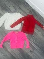 Meisjes kledingpakket maat 98/104, Ophalen of Verzenden, Zo goed als nieuw, Maat 98