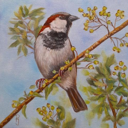 Schilderij mus 286 - origineel cadeau - eigen werk - mussen, Antiek en Kunst, Kunst | Schilderijen | Klassiek, Ophalen of Verzenden