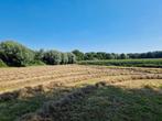 Midi balen natuurhooi., Dieren en Toebehoren, Ophalen, Vee