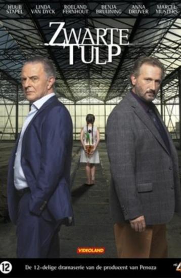 Nederlandse tv-serie's, 5 euro per box beschikbaar voor biedingen
