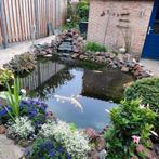 Complete vijver!(vissen,filter+pomp+stenen etc), Tuin en Terras, Vijver-toebehoren, Ophalen, Gebruikt, Vijverfilter