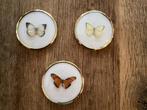 Vlinders in Goudkleurige Lijst - Set van 3, Huis en Inrichting, Ophalen of Verzenden, Zo goed als nieuw