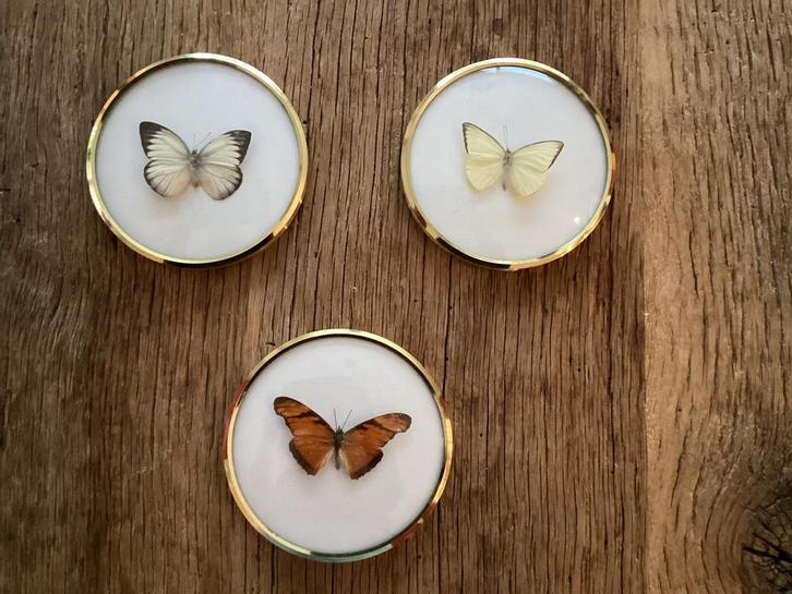 Vlinders in Goudkleurige Lijst - Set van 3, Huis en Inrichting, Woonaccessoires | Wanddecoraties, Zo goed als nieuw, Ophalen of Verzenden