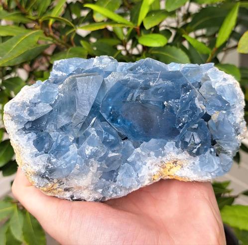 Prachtige Celestien cluster Madagascar met groot kristal, Verzamelen, Mineralen en Fossielen, Mineraal, Ophalen of Verzenden
