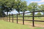 14. Houten omheining | paardenbak | paarden omheining, Dieren en Toebehoren, Weidegang, 4 paarden of pony's of meer
