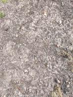 Gratis zwarte grond brengen, Tuin en Terras, Aarde en Mest, Ophalen of Verzenden, Tuinaarde