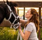 Voedingstherapeut voor paarden - een gezond en vitaal paard!