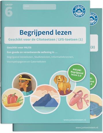 Junior Einstein groep 6 rekenen + begrijpend lezen beschikbaar voor biedingen